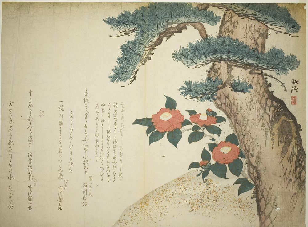 A Pine Tree and Camellias by Niwa Tokei