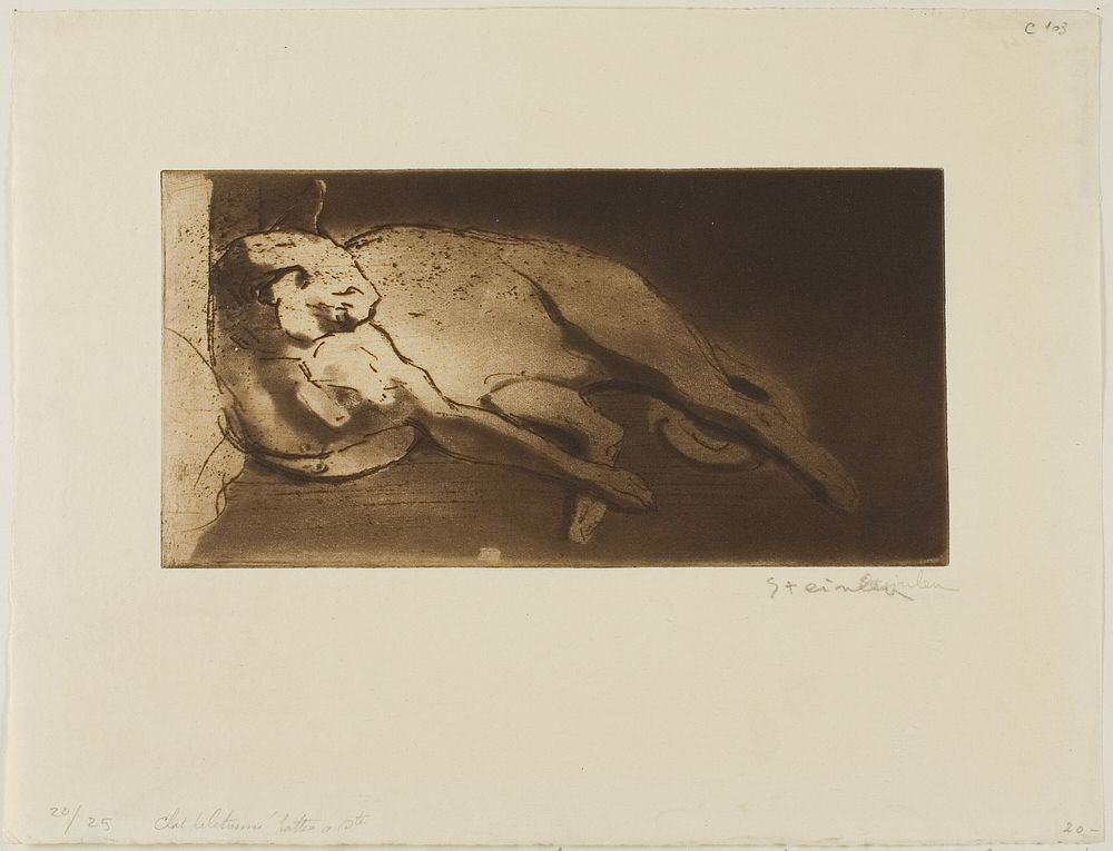 Reclining Cat Stretched Out from Left to Right by Théophile-Alexandre Pierre Steinlen
