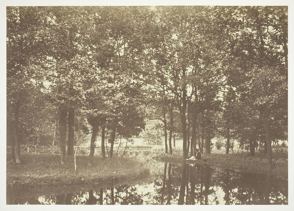 Untitled, from the series "Bois de Boulogne" by Charles Marville