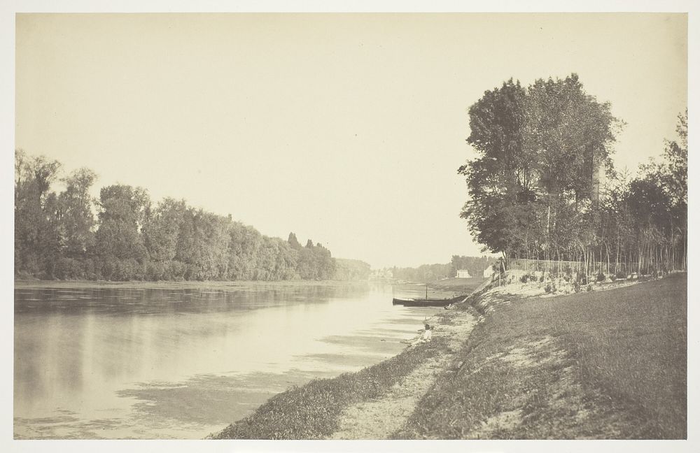 Untitled, from the series "Bois de Bologne" by Charles Marville