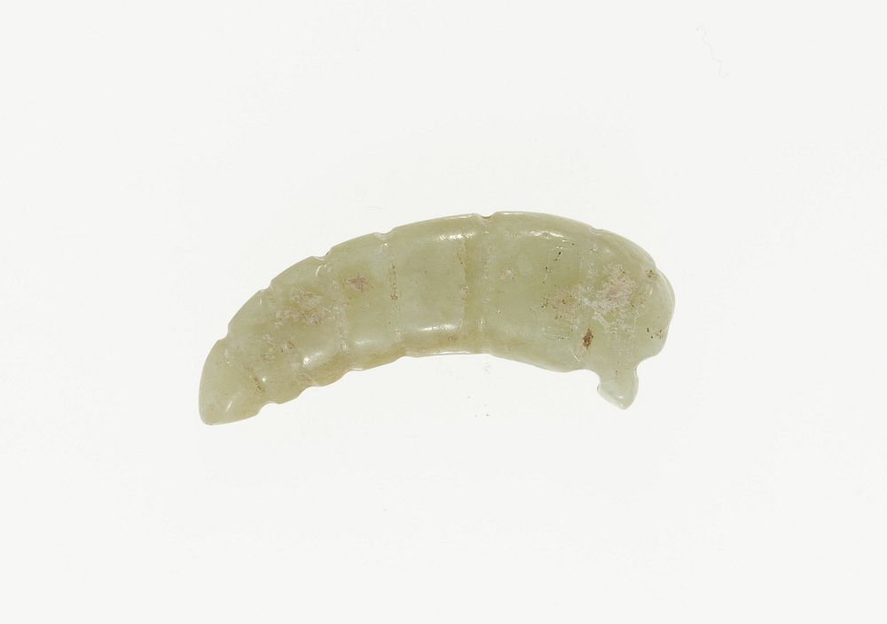 Silkworm Pupa Pendant