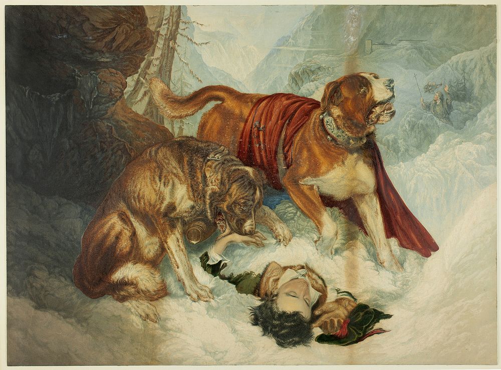 The Dogs of St. Bernard by George Baxter