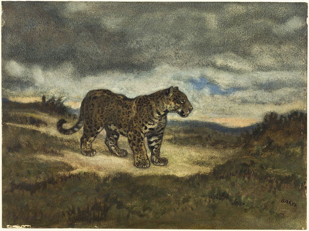 Jaguar Standing by Antoine Louis Barye