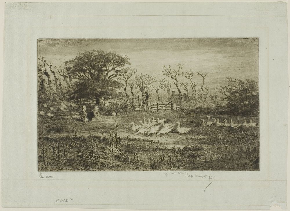 Geese by Félix Hilaire Buhot