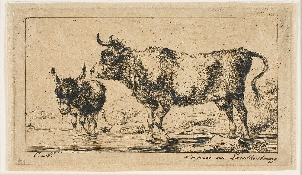The Cow and Ass by Charles Meryon