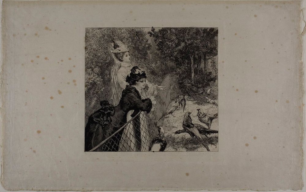 At the Zoological Gardens, second plate by Félix Henri Bracquemond