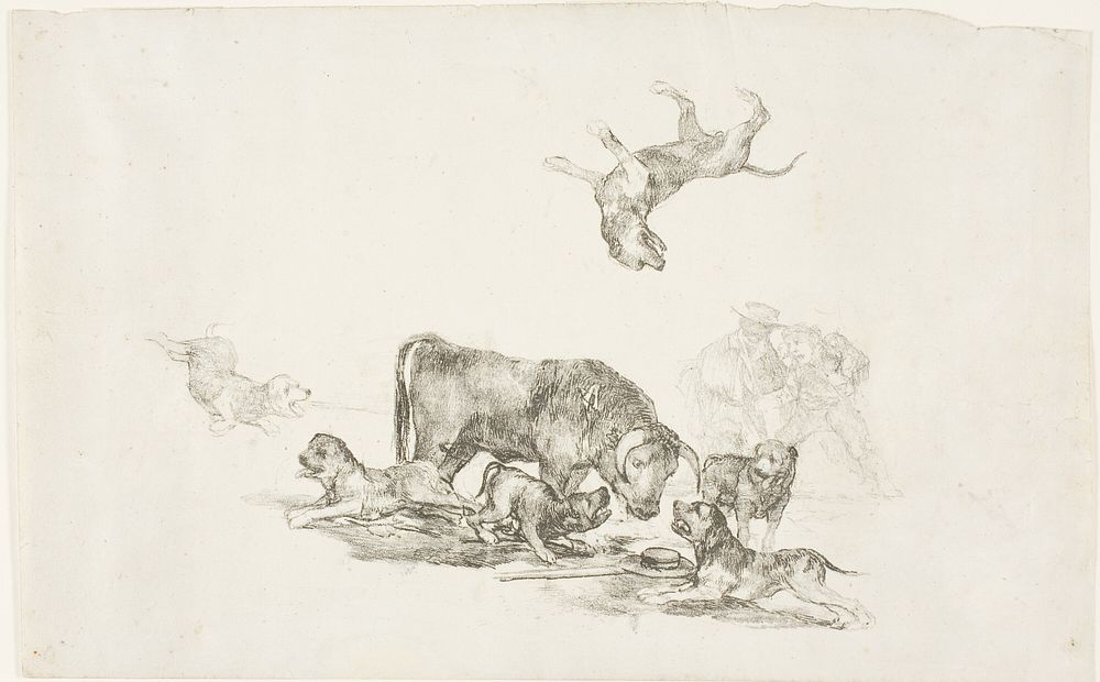 Bull Attacked by Dogs by Francisco José de Goya y Lucientes