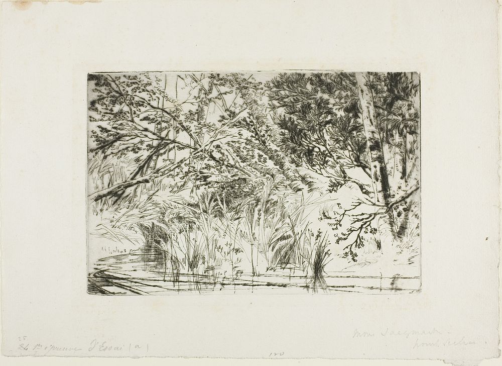 Mouth of a Brook, No. II by Francis Seymour Haden