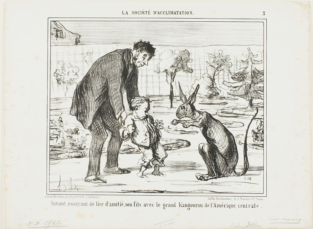 A Scientist Trying to Befriend His Son with a Great Kangaroo from Central America, plate 3 from La Société D'acclimatation…