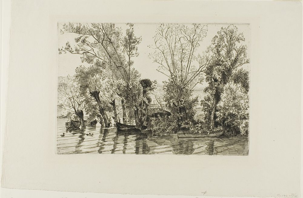The Willows at Mottiaux by Félix Henri Bracquemond