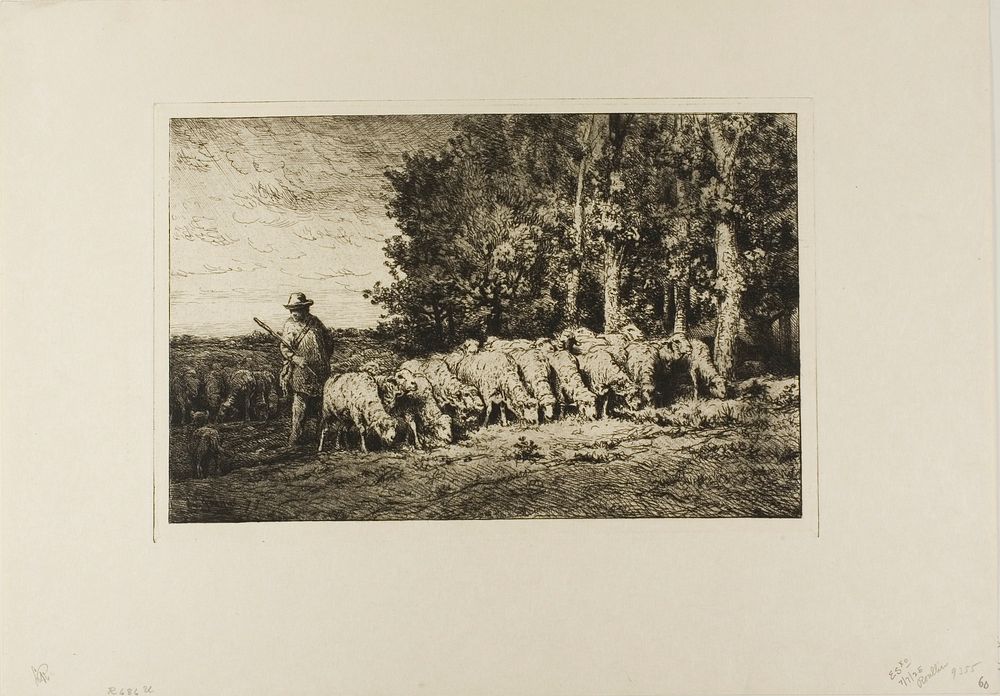 Flock of Sheep at the Edge of a Wood by Charles Émile Jacque