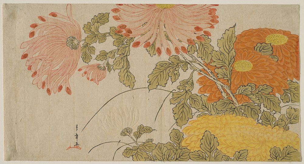 Chrysanthemums by Katsukawa Shunsho