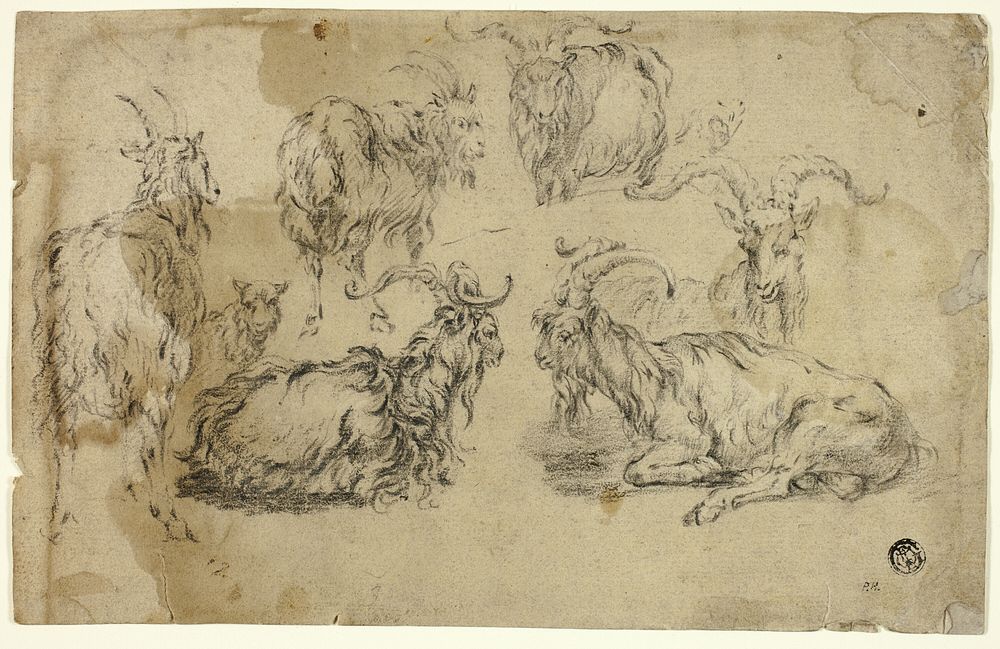 Sketches of Goats by Johann Gottlieb Hackert