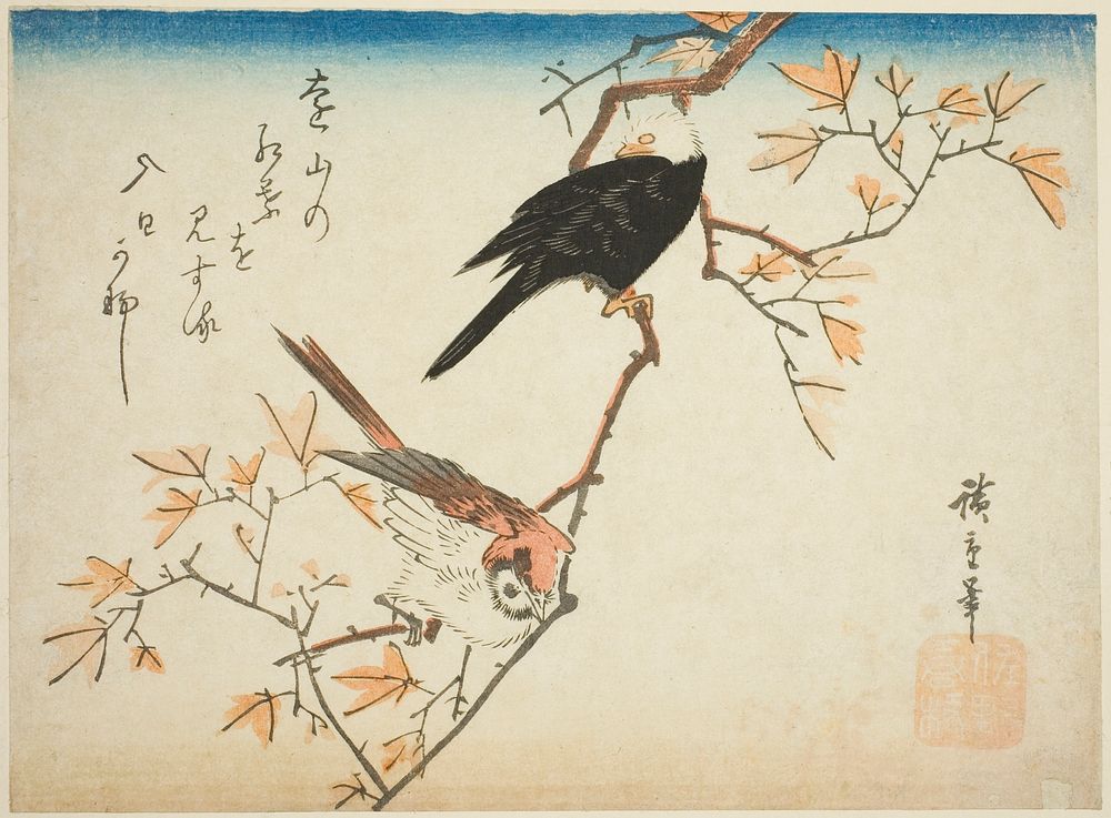 Two birds on maple branch by Utagawa Hiroshige