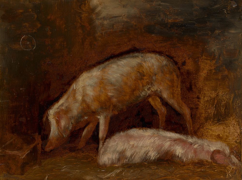 Study of Pigs by Alexandre Gabriel Decamps