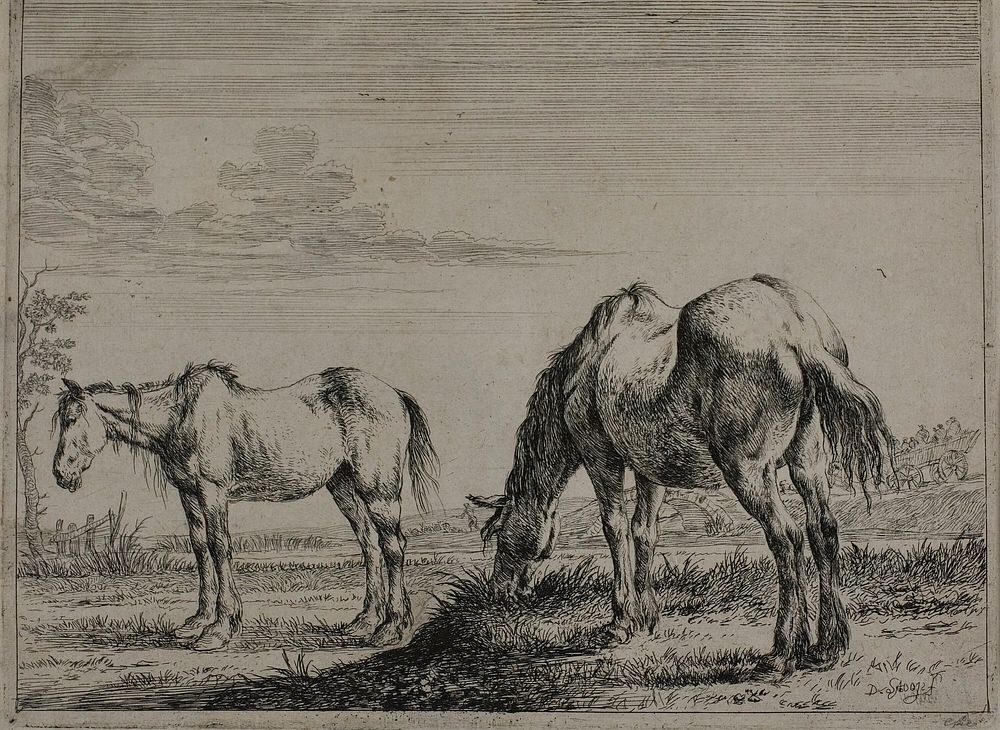 Grazing Horse, plate three from Series of Horses by Dirck Stoop