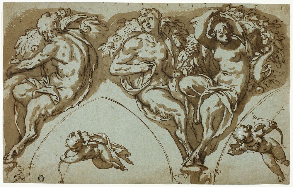 Study for Spandrel Decoration with Satyress, Satyrs, and Putti (recto); Head of Putto (verso) by Paolo Farinato
