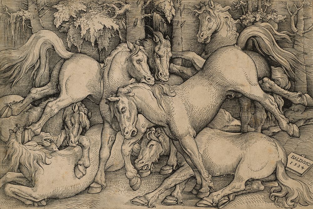 Wild Horses Fighting by Hans Baldung Grien