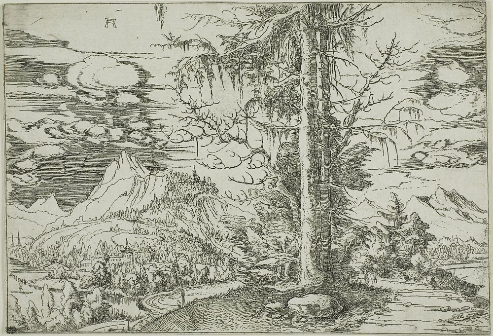 Landscape with A Double Spruce by Albrecht Altdorfer