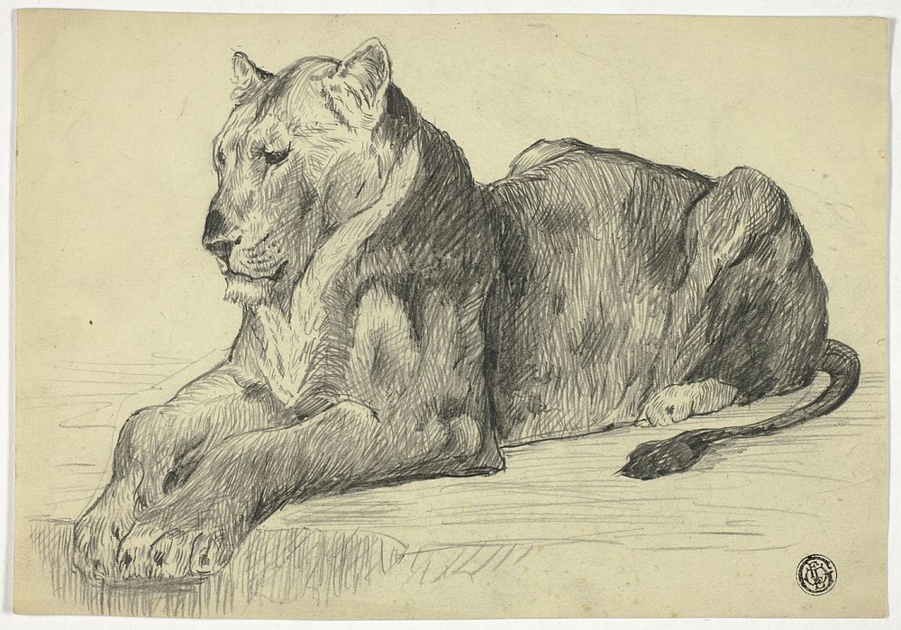 Lioness by Edwin Henry Landseer