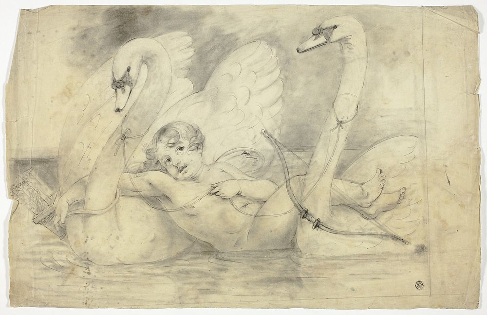Cupid and Swans by John Downman