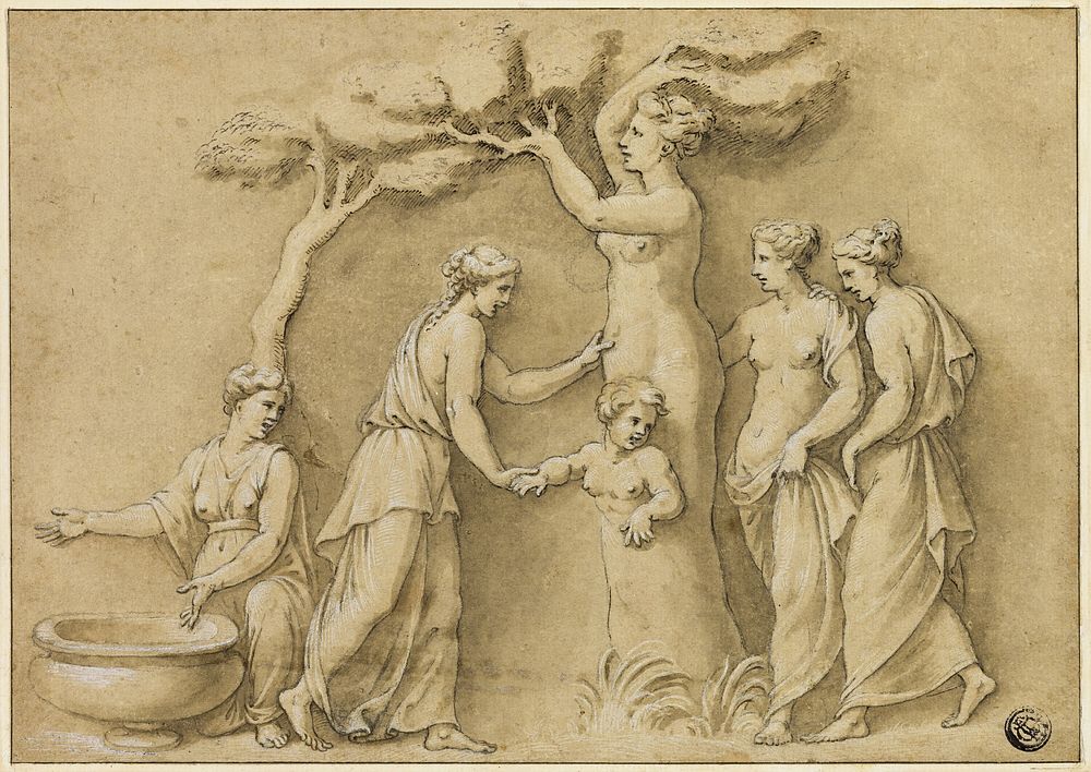 Birth of Adonis by Giulio Romano