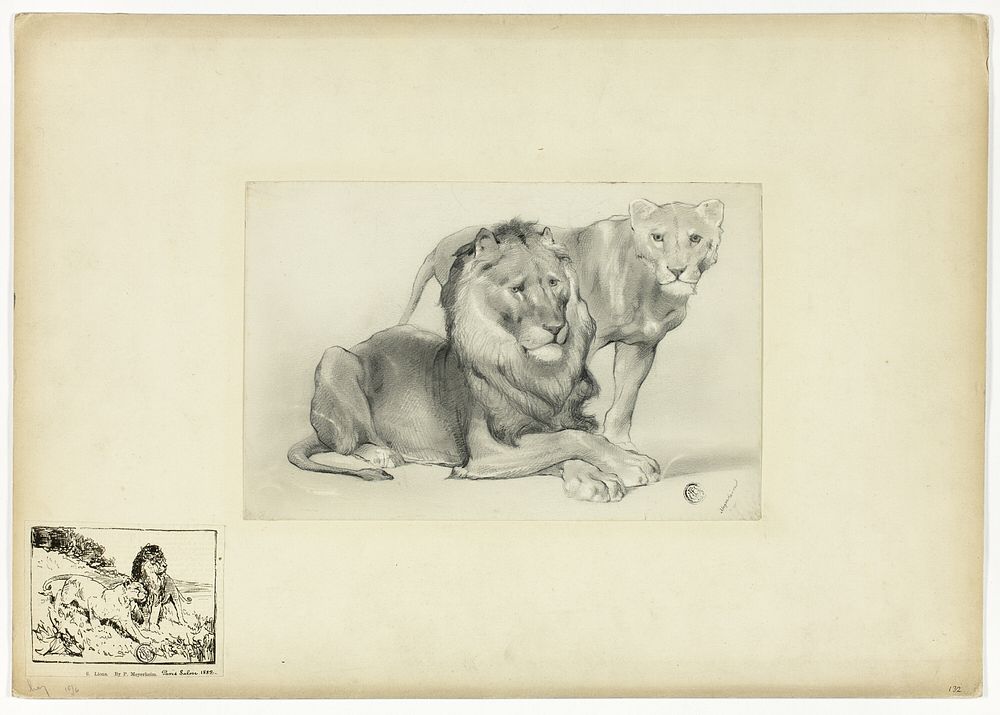 Lion and Lioness by Paul Friedrich Meyerheim
