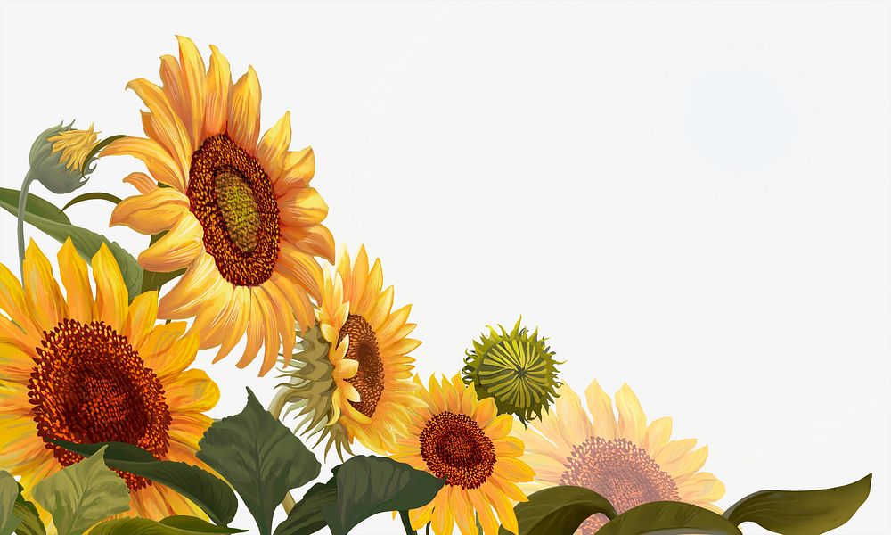 Sunflowers illustration border background, beige design 