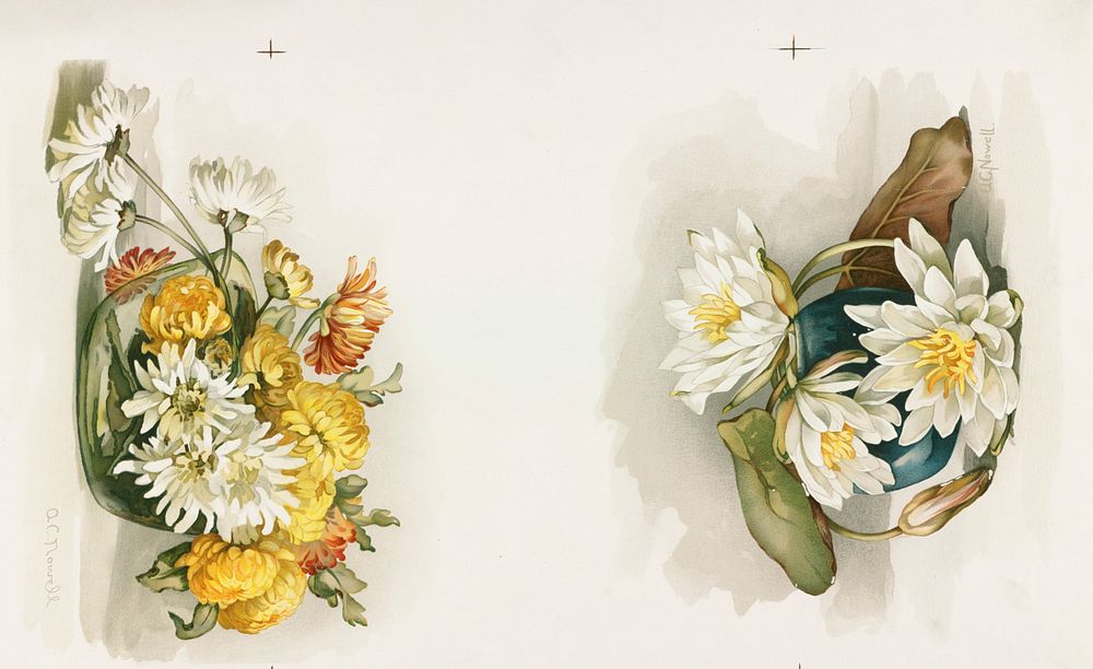 Two prints of chrysanthemums