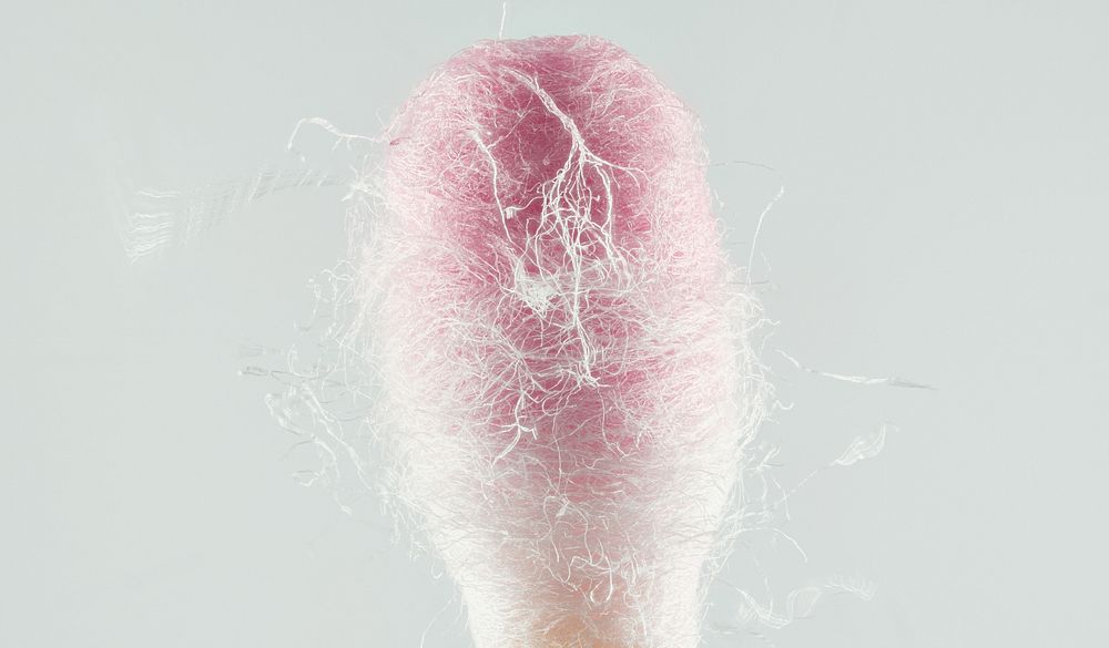 Cotton bud, pink natural fiber.