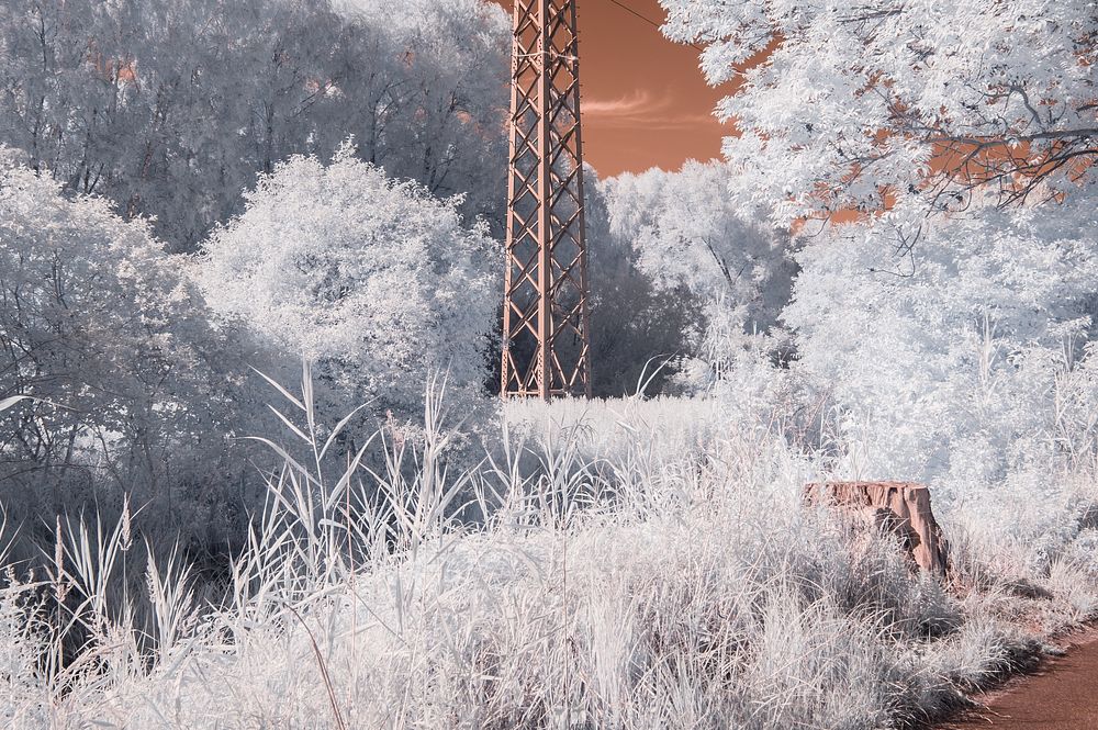 Electric high voltage tower.