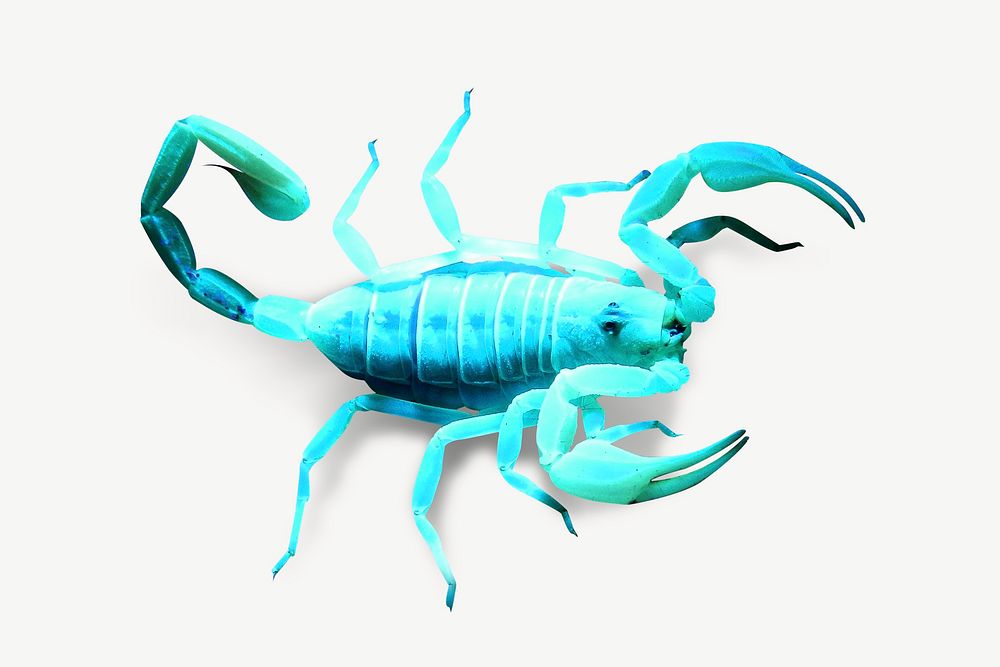 Blue scorpion collage element, animal isolated image psd