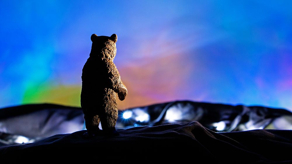 Admired from AfarHaving left the streets of Christmastown behind, the Bear paused once more to look down upon the valley;…