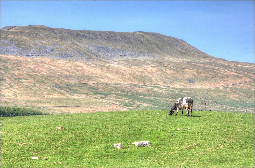 Whernside is the second of the Three Peaks, north-west of the main B6255 road.