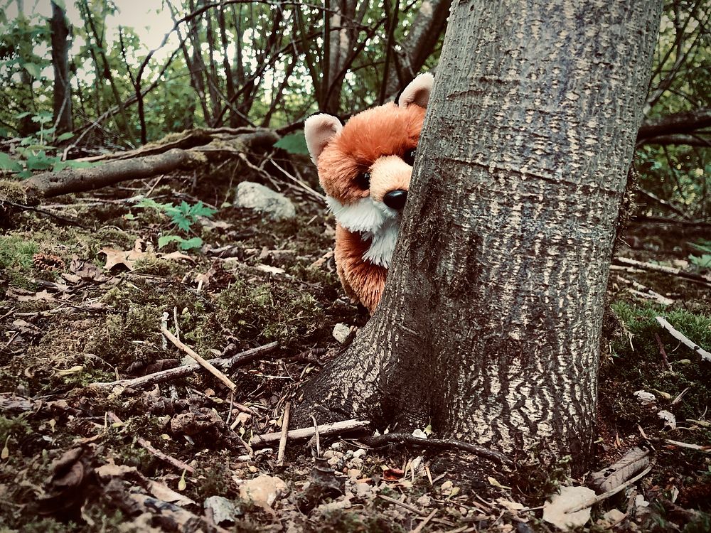 Wildlife, red fox puffy doll.