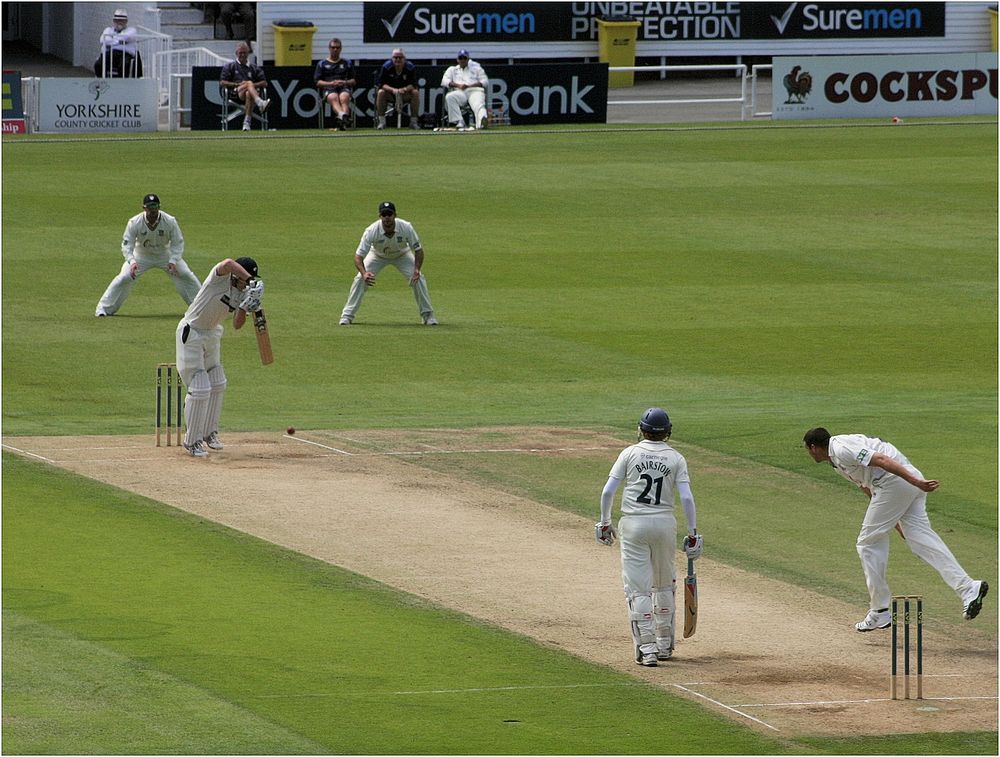 Cricket game. Headingley, Leeds, UK. 11 July 2009.