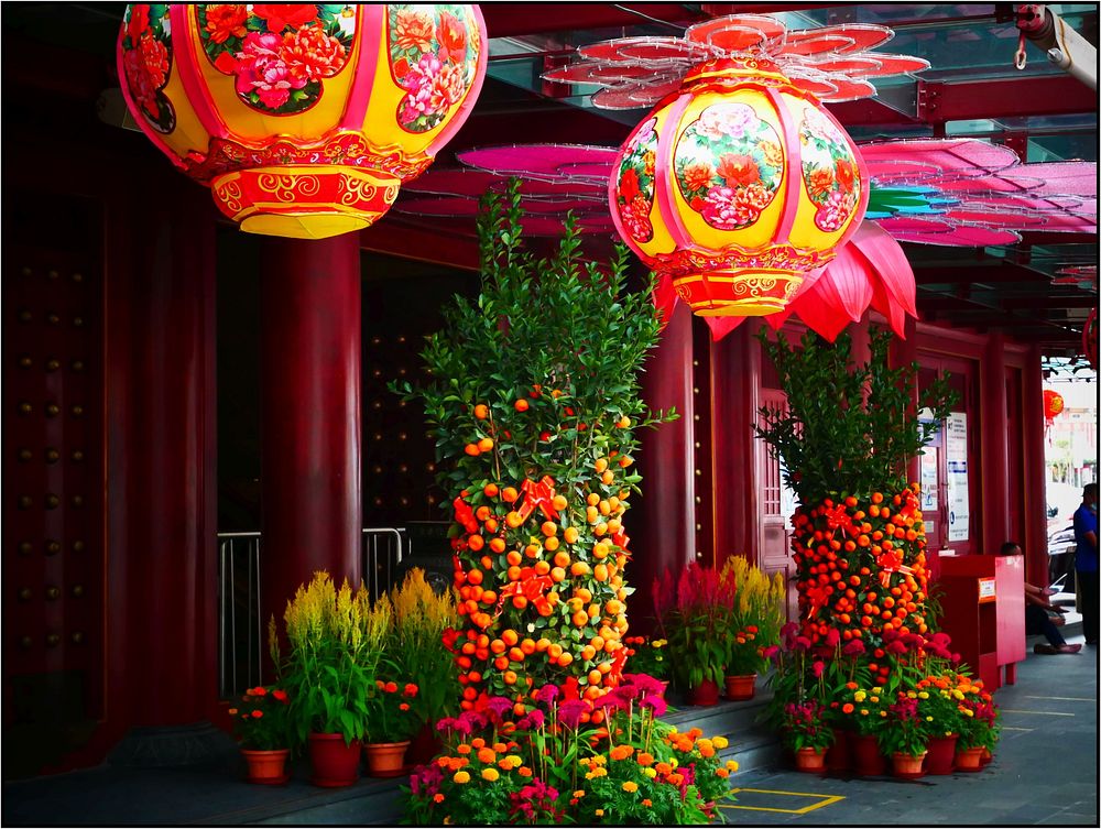 Decorations for CNY - mandarin oranges and lanterns