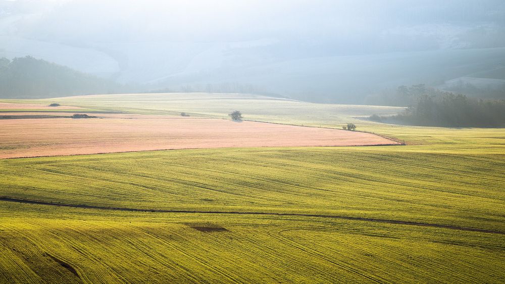 Foggy nature field, open landscape.