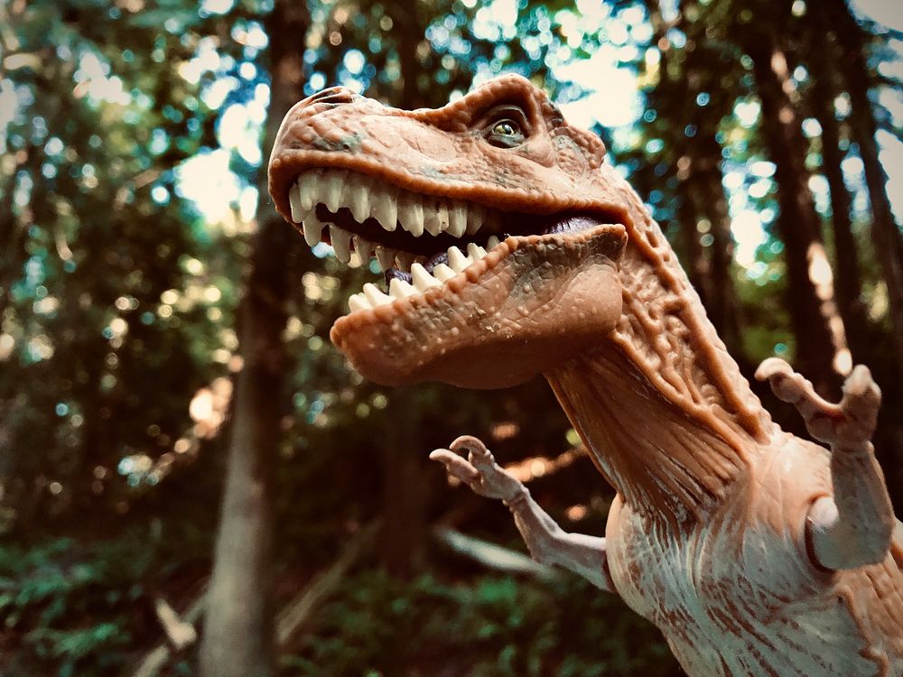 T-Rex Dinosaur, ancient reptile model.