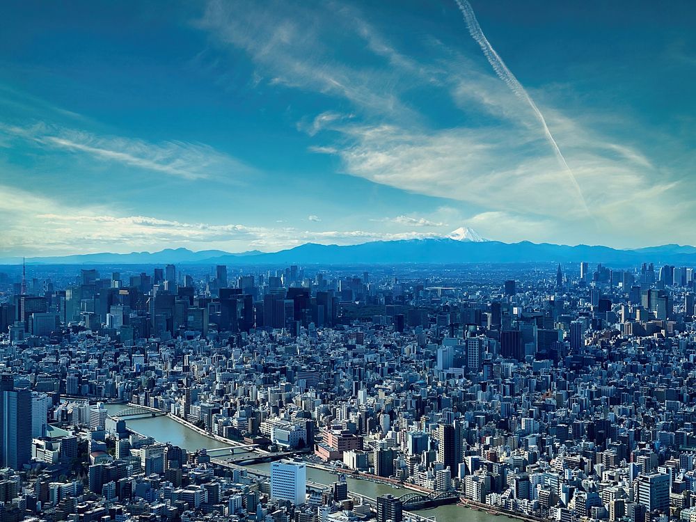 Tokyo's urban landscape city view.