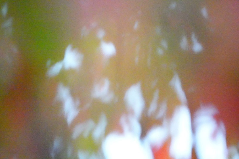 Red treetop leaves, blurring aesthetic.