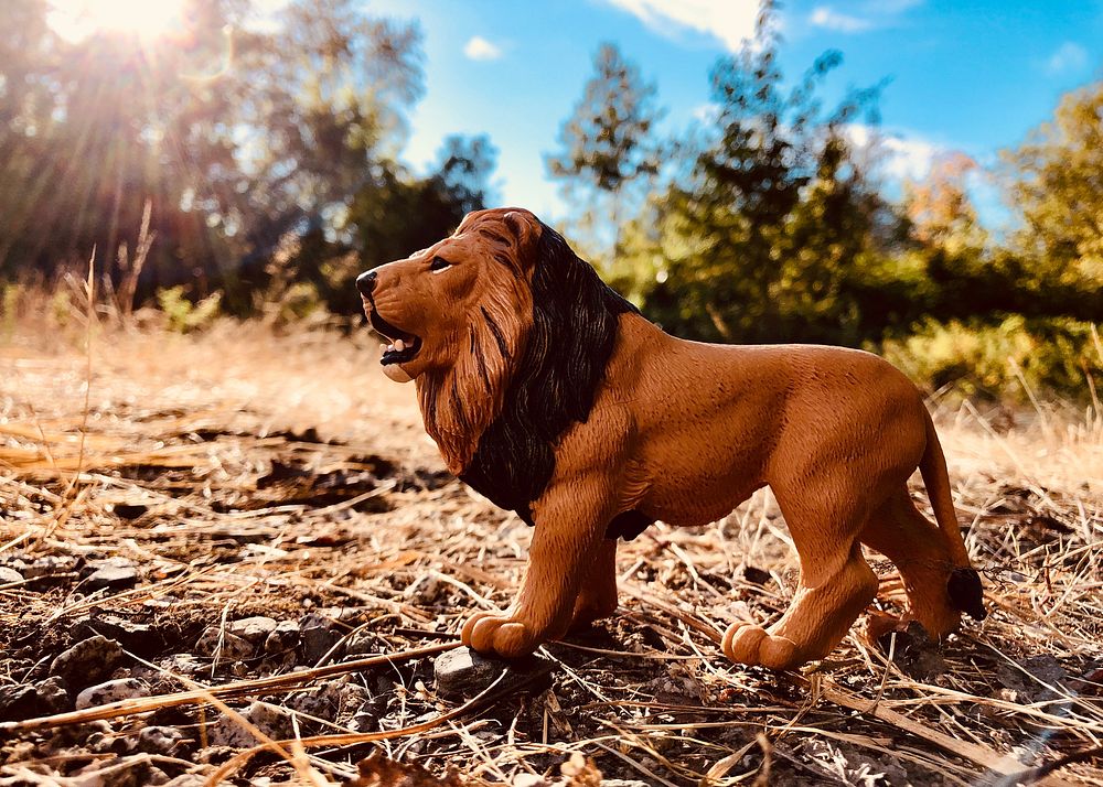 Wildlife model, male lion sculpture.