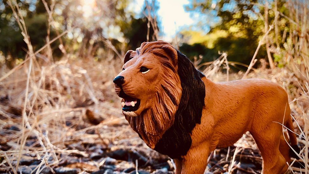 Wildlife model, male lion sculpture.