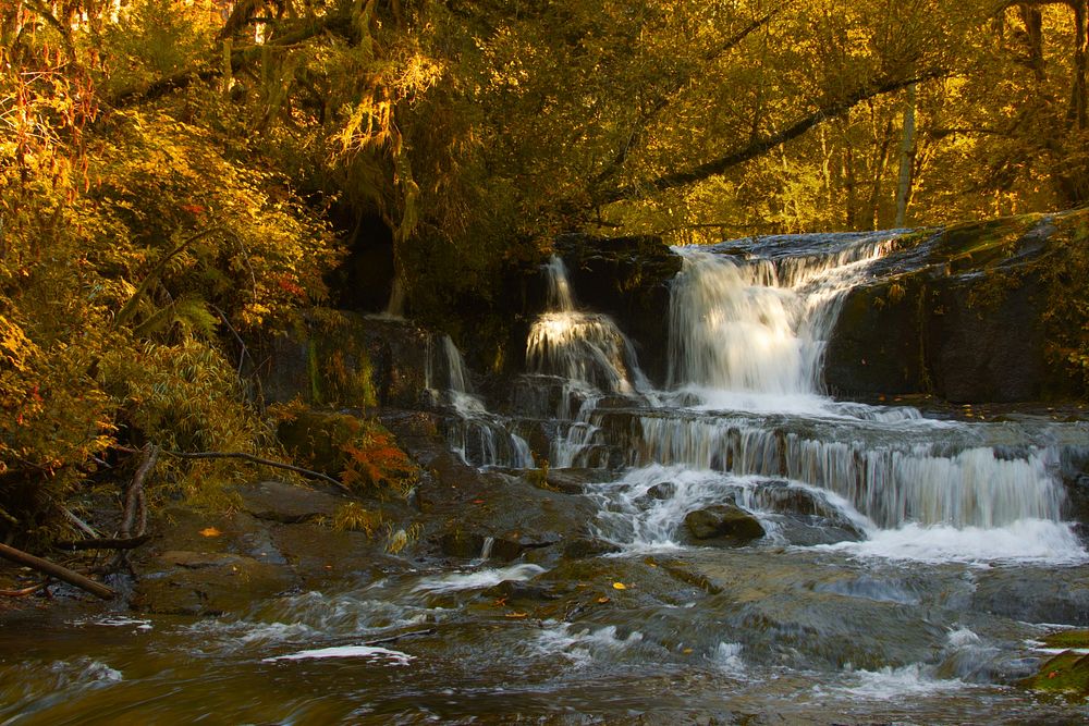 Alsea River on a golden fall day, OregonThe Alsea River flows 48.5 miles (78.1 km) from Alsea, an unincorporated community…