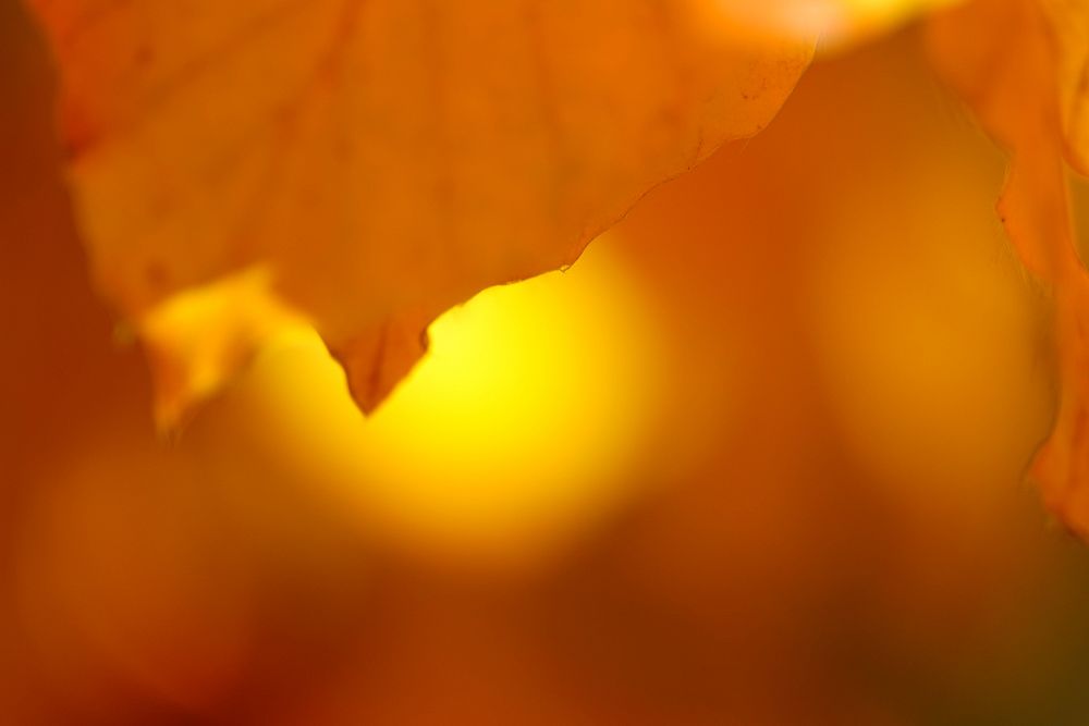 Autumnal nature mirror shot photo shoot.