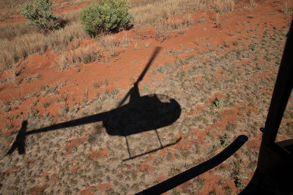 Take off!Purnalulu National Park, Kimberley, Western Australia