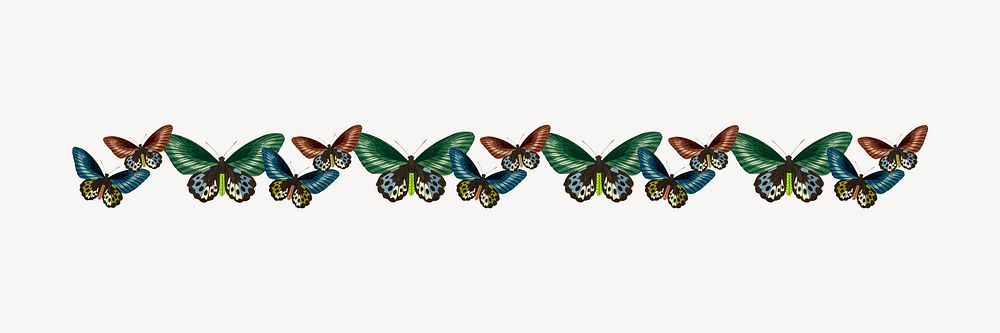 Vintage butterfly pattern border element psd