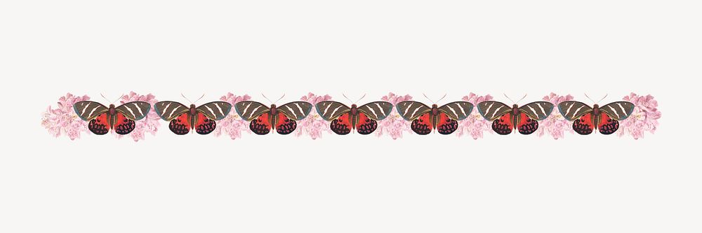 Vintage butterfly pattern border element psd