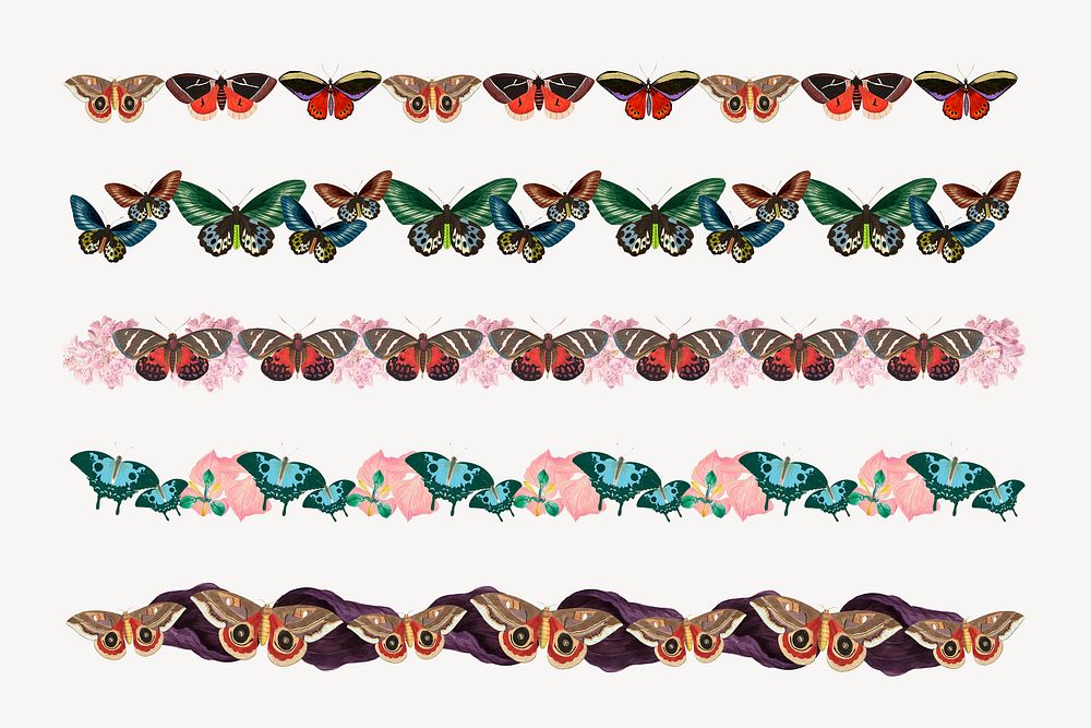 Vintage butterfly pattern border element set psd