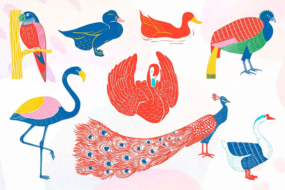 Colorful birds illustration collage element set psd
